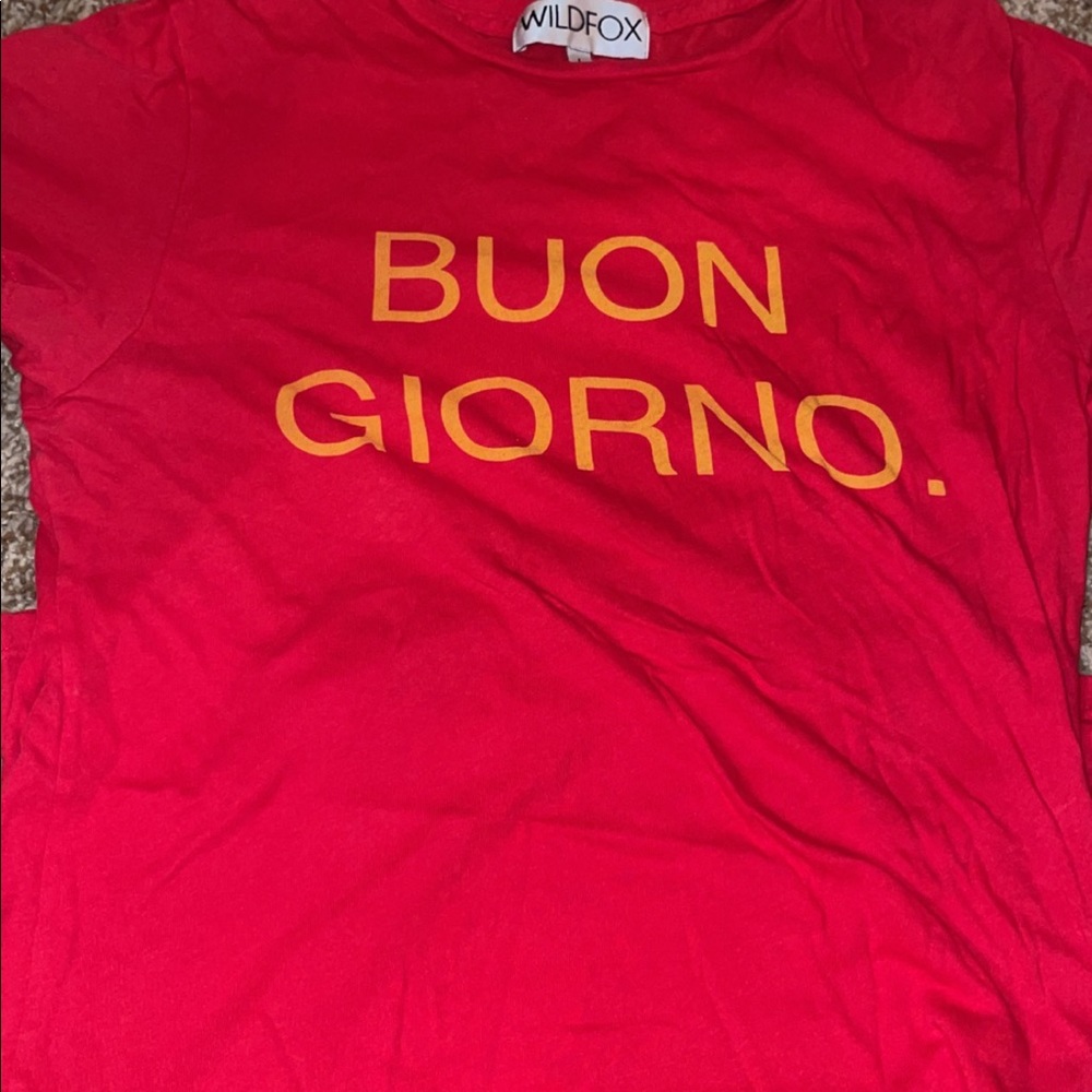 Wildfox buon girno tee shirt